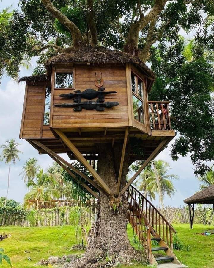 IvoryCoastWorld's tweet photo. Visit Côte d'Ivoire 🇨🇮 and discover the Kafolo Lagoon in Jacqueville!

#VisitCôtedivoire
#InvestInCôtedivoire https://t.co/i225yWTmJn