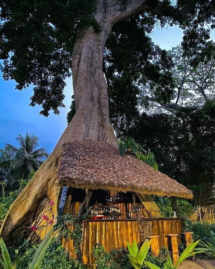 IvoryCoastWorld's tweet photo. Visit Côte d'Ivoire 🇨🇮 and discover the Kafolo Lagoon in Jacqueville!

#VisitCôtedivoire
#InvestInCôtedivoire https://t.co/i225yWTmJn