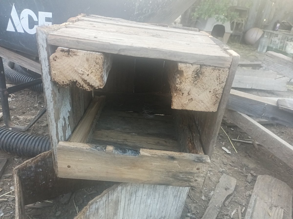 EdTimeToLearn's tweet image. Check out these #Handmade #NestingBoxes for #Chickens "#Rustic and #durable for #generations" With the low and competitive price of $20 each. On #OfferUp
 offerup.co/oAjYNf7BIzb

#Sacramento #Chicken  #NestingBox
