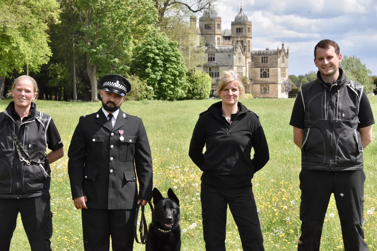 Wilts Police Dogs tweet media