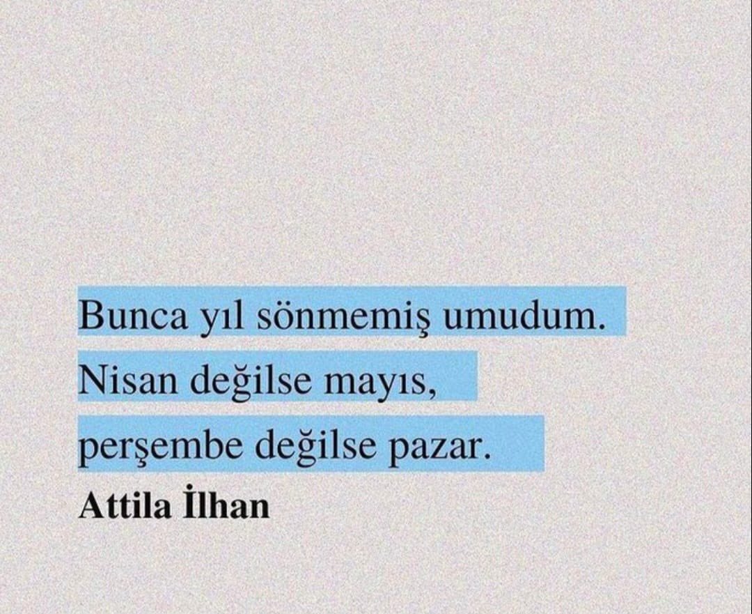 Nilsu Şengül (@nilssengul) on Twitter photo 