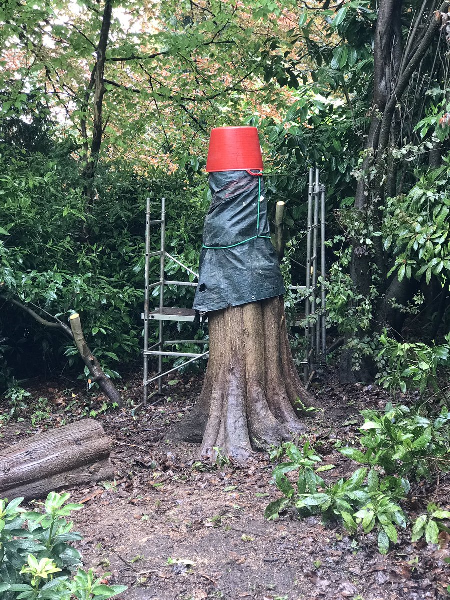 view landscaping tweet media