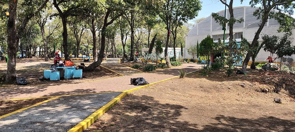 AlvaroB20082595's tweet photo. @TlalpanAl KW Pedregal propone, ellos limpian. Ustedes alcaldía manden camión de recolección. https://t.co/ytFtHu256T