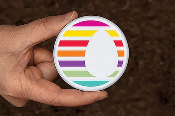 FloralDaily tweet media