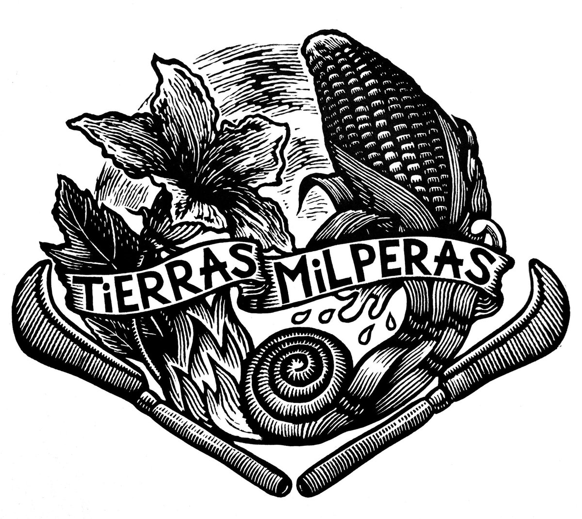 bosquenixticuil's tweet photo. 🧵Hace algunas semanas nos visitaron compañerxs de @TierrasMilperas desde #Watsonville, California. Tierras Milperas es una gran comunidad campesina migrante que lucha por autonomía alimentaria, contra la agroindustria y el racismo, en defensa de la milpa y las semillas nativas. https://t.co/RmeYtmq2rT