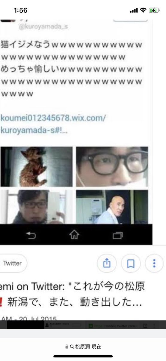 kimi tweet media