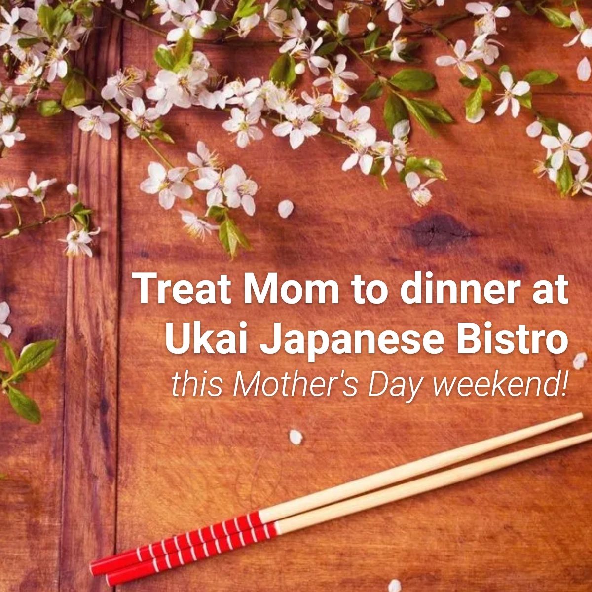 UkaiBistro's tweet photo. Mother’s Day is right around the corner, but there’s no need to keep searching for the perfect gift. Just treat Mom to all of her favorite dishes at our place this Saturday! #UkaiJapaneseBistro #SanRamon #SanRamonValley #BayAreaEats #SFEats #MothersDay https://t.co/W5WEgbicf1