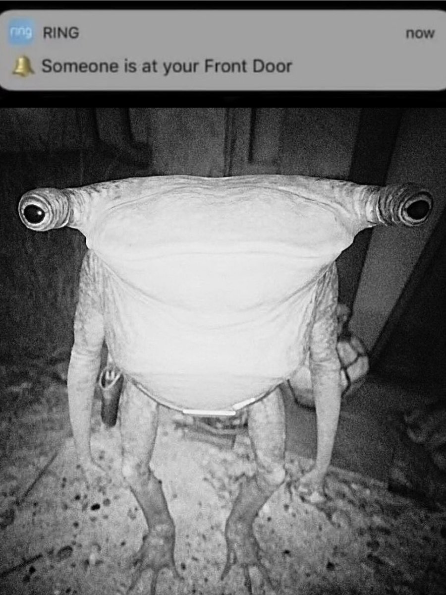 GOOD1NUV's tweet photo. @FrogsOfEarth @SantaDecides https://t.co/GaaAEzFNlD