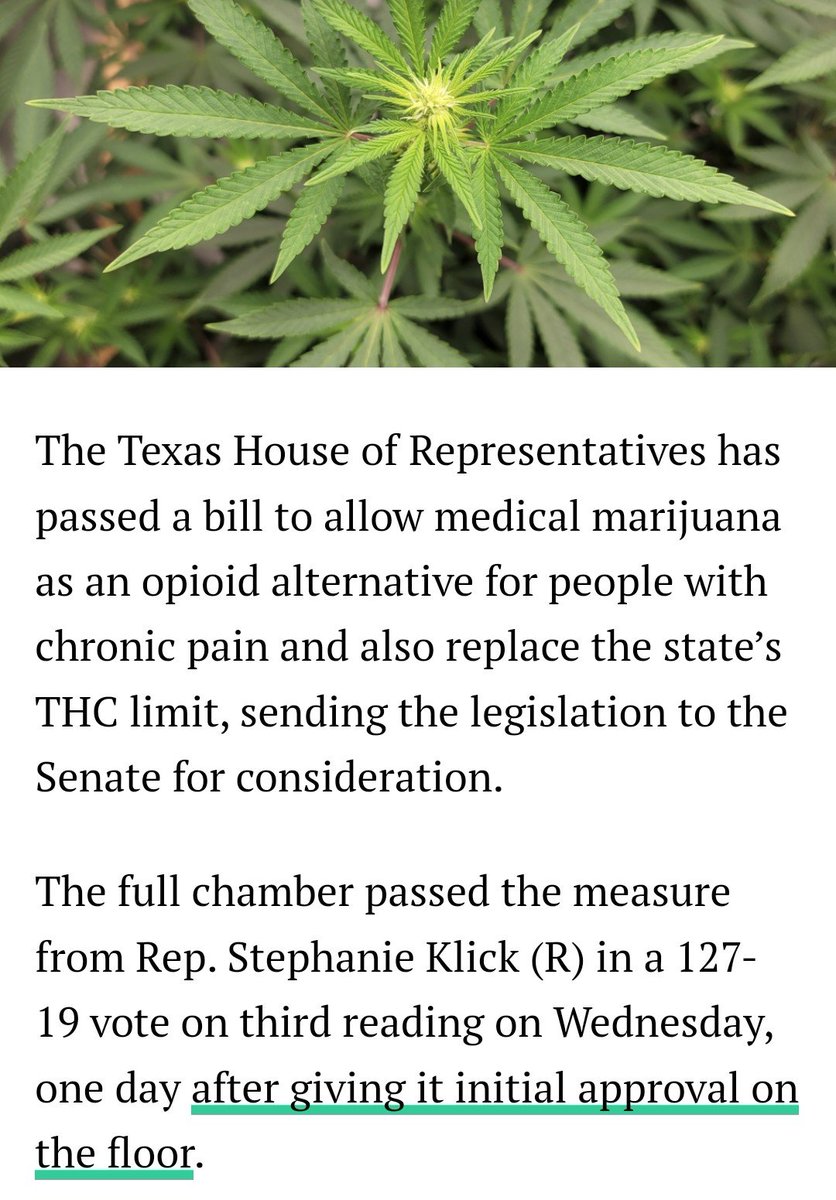 CannabisShrooms's tweet photo. So Dan Patrick is shutting down Cannabis reform again.
Even with unanimous votes from House and Senate for Cannabis reform for Texas.
He uses his power of office to not listen to the majority of Texans and pursue his own personal agendas. https://t.co/L97L88KRnu