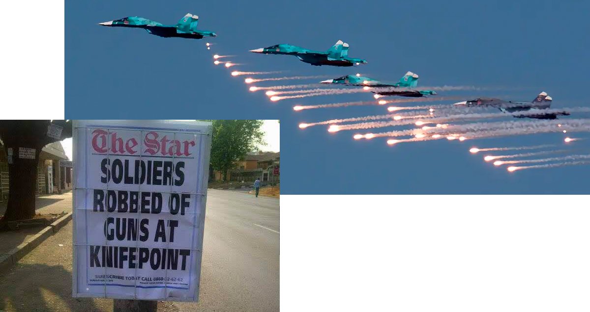 AllieGator tweet media