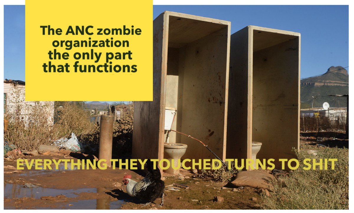 AllieGator tweet media