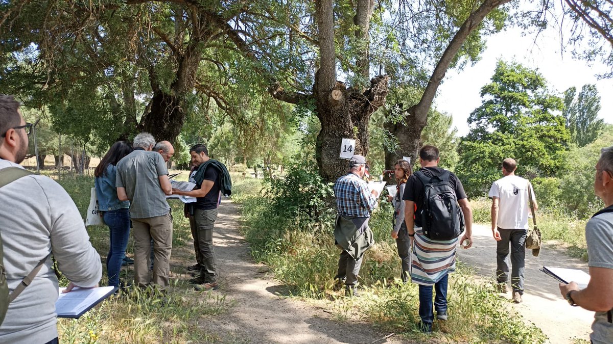 Hoy hemos concluido las Jornadas de Intercalibración en Evaluación y Seguimiento de Daños en los Bosques 2023 con  <a href="/mitecogob/">Transición Ecológica y Reto Demográfico</a> y varias CC.AA.
