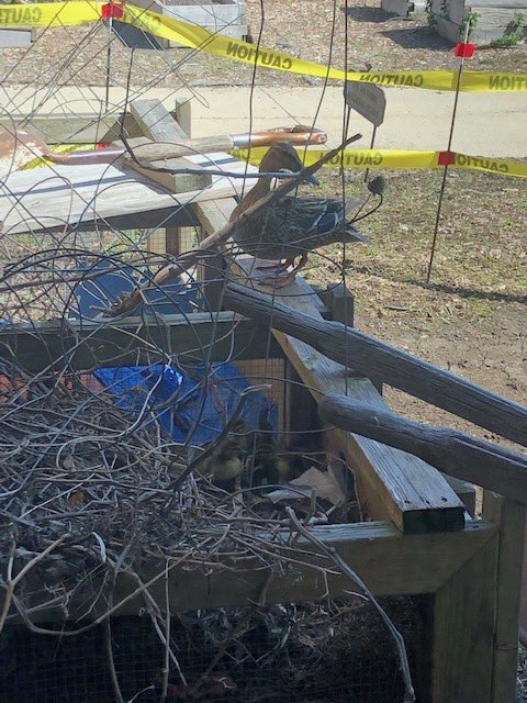 Cassie Schwartz tweet media