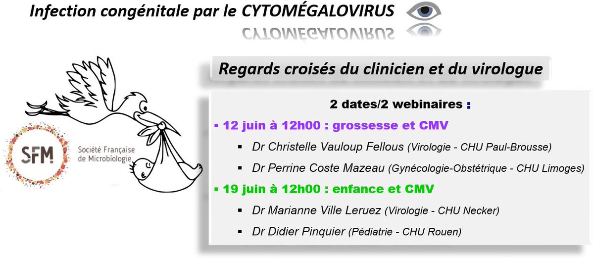 virologie_sfm's tweet photo. La section virologie de la SFM vous propose deux webinaires autour de l'infection congénitale par le cytomégalovirus, depuis le dépistage de la femme enceinte jusqu'à la prise en charge thérapeutique du nouveau-né. Inscription sur le site @SFMicrobiologie https://t.co/BYqZ3tIG7k https://t.co/CwjwLNfTRu