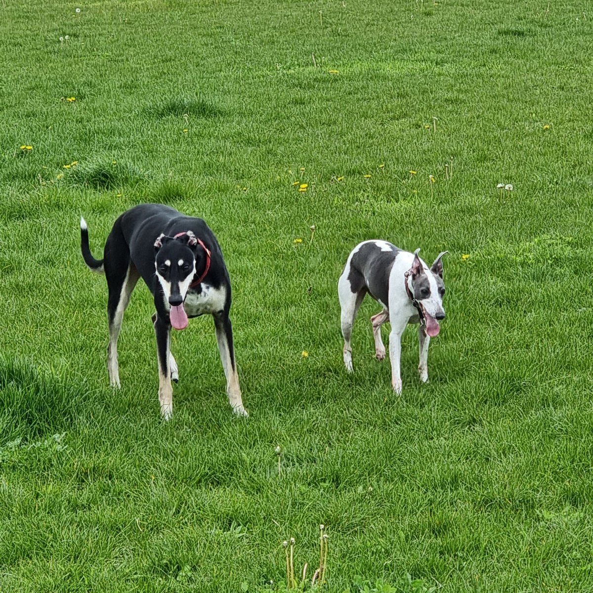 Click Antiques & Vintage tweet media