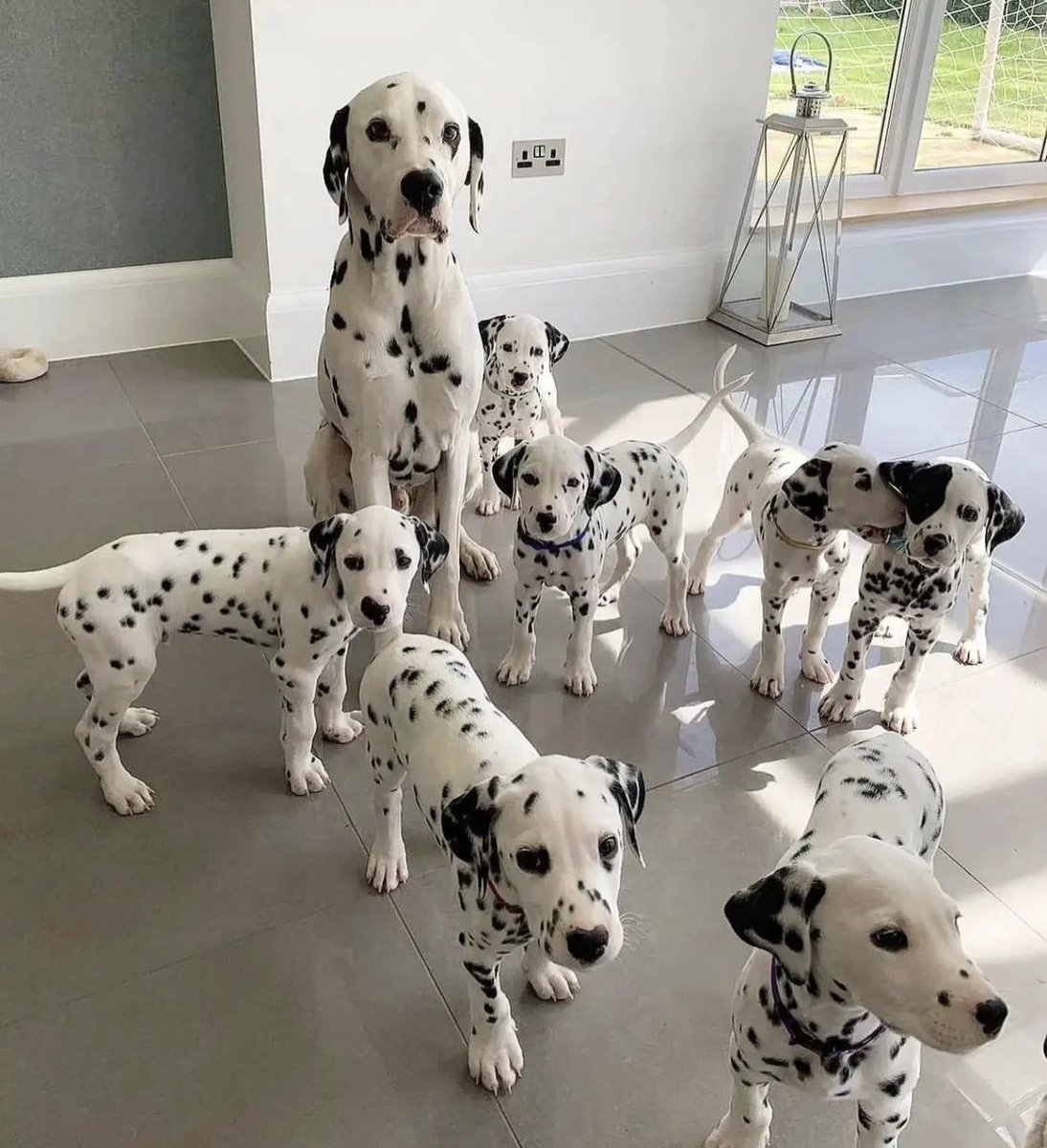 Familia feliz 🖤🤍🖤