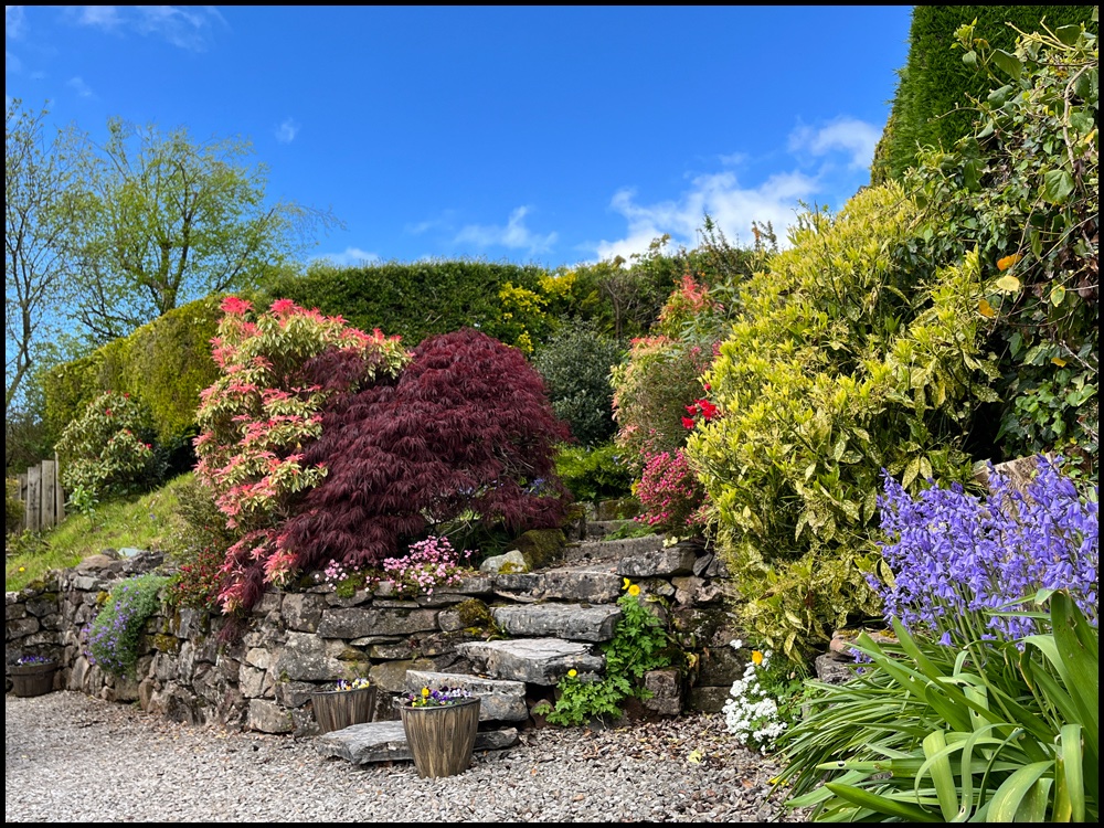 Kelton Croft Holiday Cottage - Garden looking lovely, a bit of blue sky, all is well. Fancy a break? Lovely holiday accommodation in the Lake District #lakedistrict #cumbria #selfcatering #ennerdale #selfcateringaccommodation #ruralretreat #garden #holidaycottage #thelakedistrict