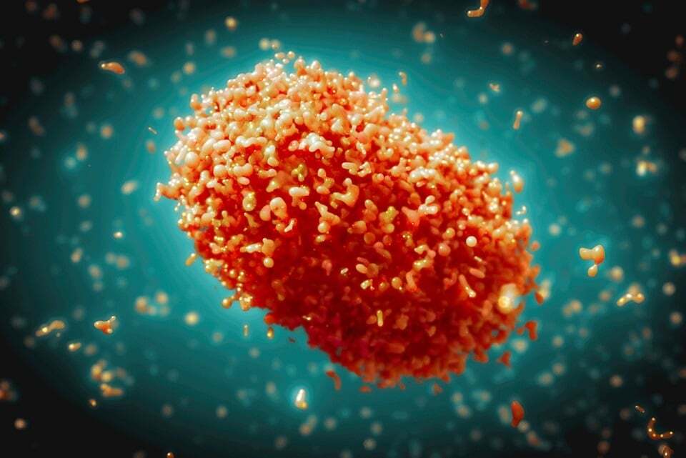 DayanClub's tweet photo. News from the WHO: Fifth Meeting of the International Health Regulations (2005) (IHR) Emergency Committee on the Multi-Country Outbreak of monkeypox (mpox) https://t.co/4EXQn6xAy8 https://t.co/YfXvkGPoVm
