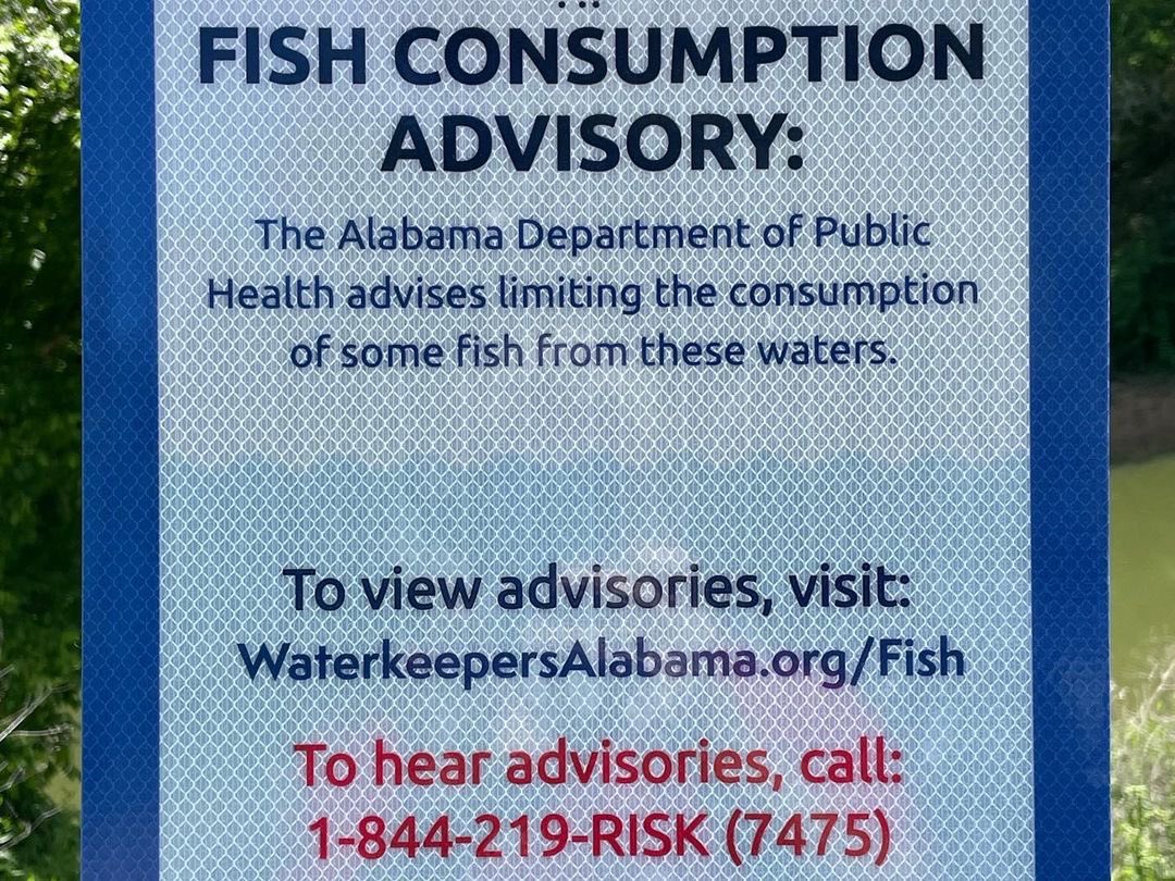 BWRiverkeeper's tweet photo. Due to #mercury pollution, 4 new fish consumption advisory signs are now at Moundville, Fosters Ferry, Riverview and Parker’s Landing public boat ramps. For more on our #FishGuide collaboration with @AlabamaRivers, @CoosaRiverkeepr and @WaterkeepersA, see: https://t.co/NXeGp4bHcq https://t.co/rkhekAYObQ