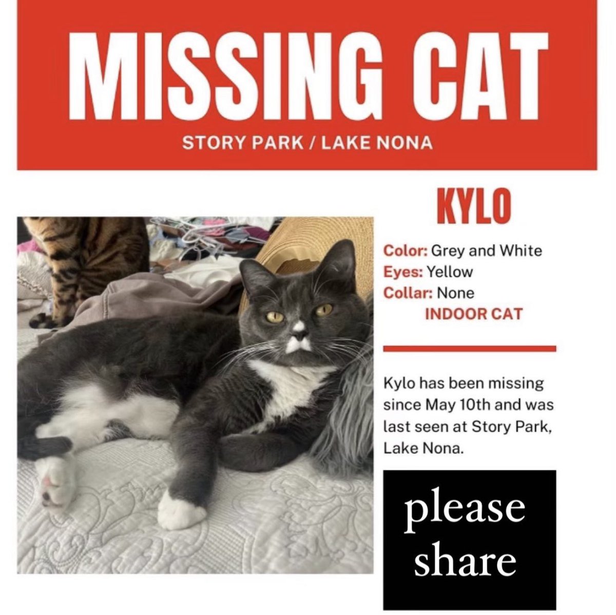 It’s a long shot but I have to try…

Our cat Kylo escaped a few days ago. We live near Lake Nona in Orlando, FL.