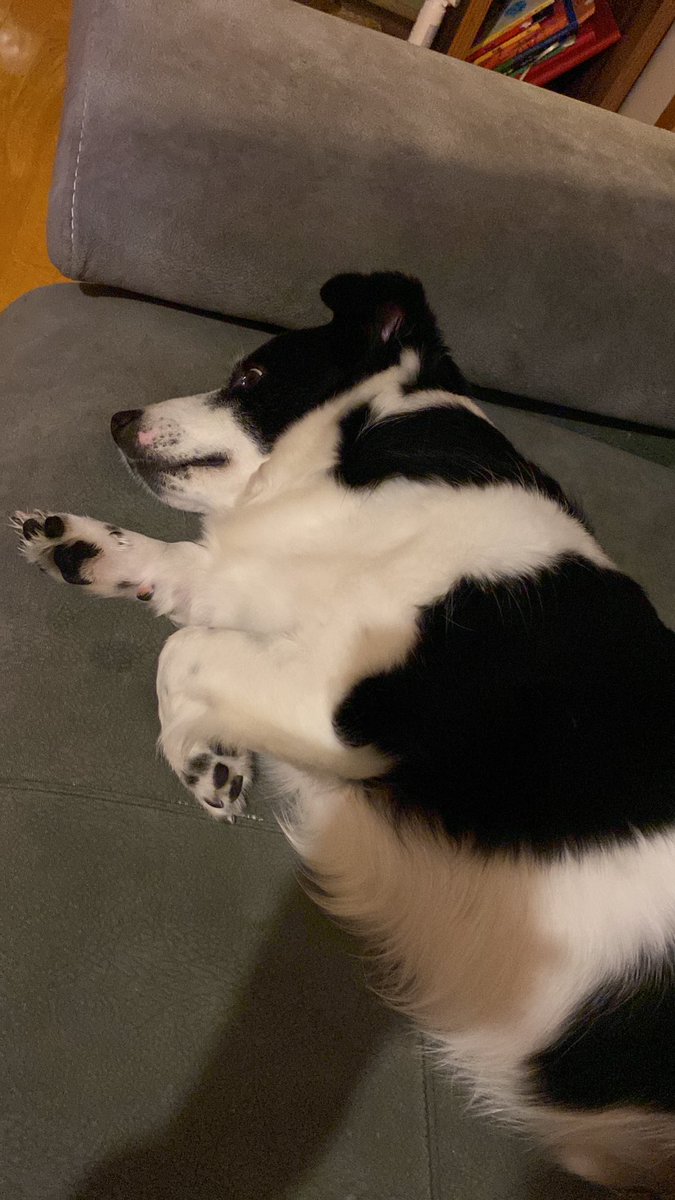 Biraz kırgınlığım var adaylıktan çekiliyorum.