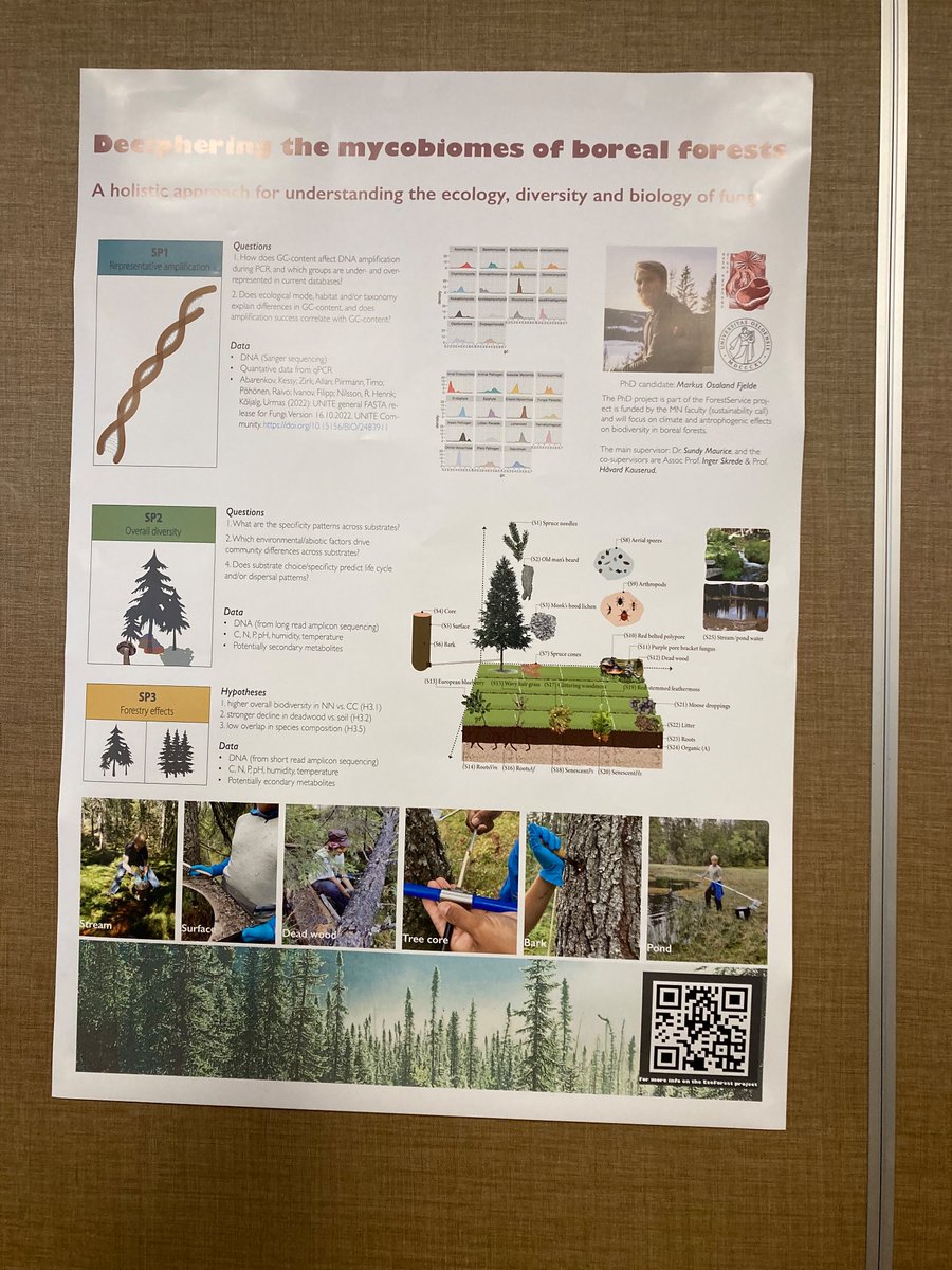 MauriceSundy's tweet photo. ForestService aims in digging into the boreal Forest mycobiome. PhD work of @Lichenized_Mind @biovitenskap  @Oslo_Mycology https://t.co/vSrU5vVmmJ