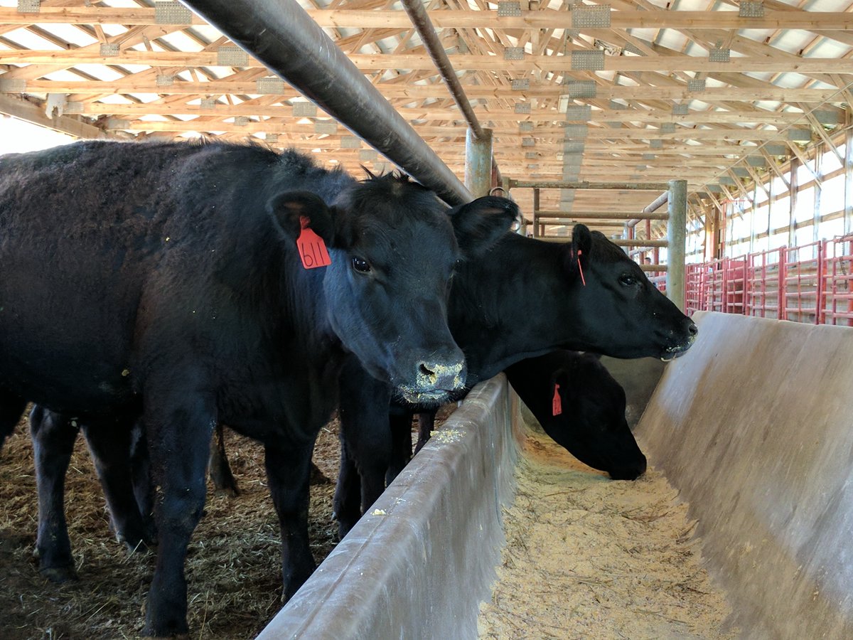 Join us for Farm Talk Breakfast- May 19th at 8:30 a.m. at the Extension Operations Building 16714 Wolf Run Rd, Caldwell, OH. Topic- “Changes to Antibiotic Access for Livestock” with- Dr. John Groah of Morgan Veterinary Service.  Free to attend! RSVP by May 15 to 740-732-5681.