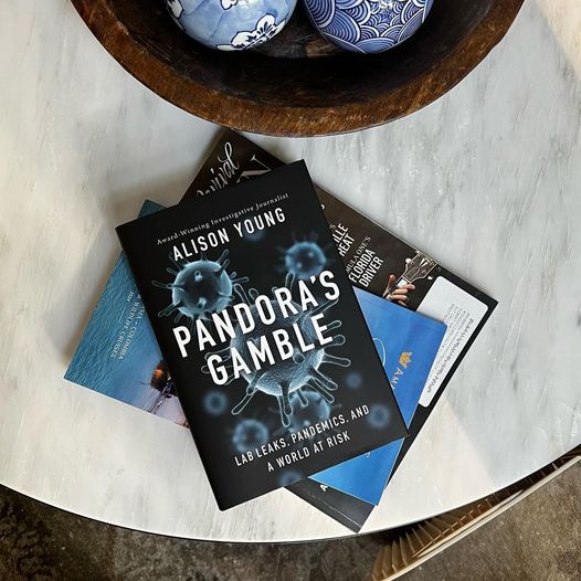 centerstreet's tweet image. Have you gotten your hands on 𝘗𝘢𝘯𝘥𝘰𝘳𝘢’𝘴 𝘎𝘢𝘮𝘣𝘭𝘦 by @alisonannyoung yet? ⁣ ⁣In this book, Young goes deep into the troubling history, and enormous risks, of lab leaks.⁣ ⁣Buy 𝘗𝘢𝘯𝘥𝘰𝘳𝘢’𝘴 𝘎𝘢𝘮𝘣𝘭𝘦 NOW! 

bit.ly/pandorasgamble⁣ 

#lableaks #covid  #news