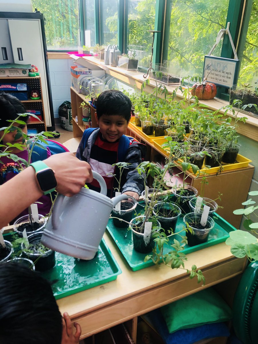 MsGlozano's tweet photo. Our plants are growing! @_MsStephanie_ https://t.co/9R3vHcAxLf