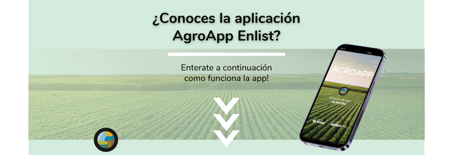 AgroApp_ARG's tweet photo. AgroApp, el clima a tu favor! 🌱 Prueba gratis usuario premium y asesor! 🎓 https://t.co/vrxg1gmBHf