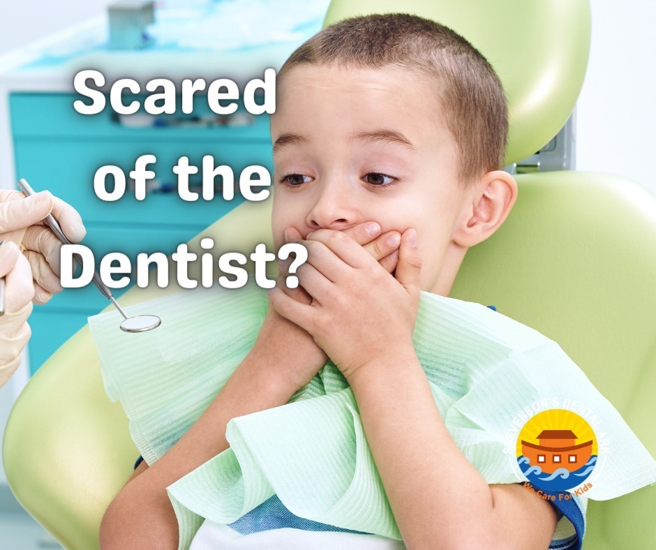 sdentalark's tweet photo. Dental anxiety is common in children (and adults). We offer a welcoming, child-friendly environment. Our team is trained to provide a gentle, compassionate experience and can work with you to ease your child's fears. https://t.co/ebzqCrgGZ9