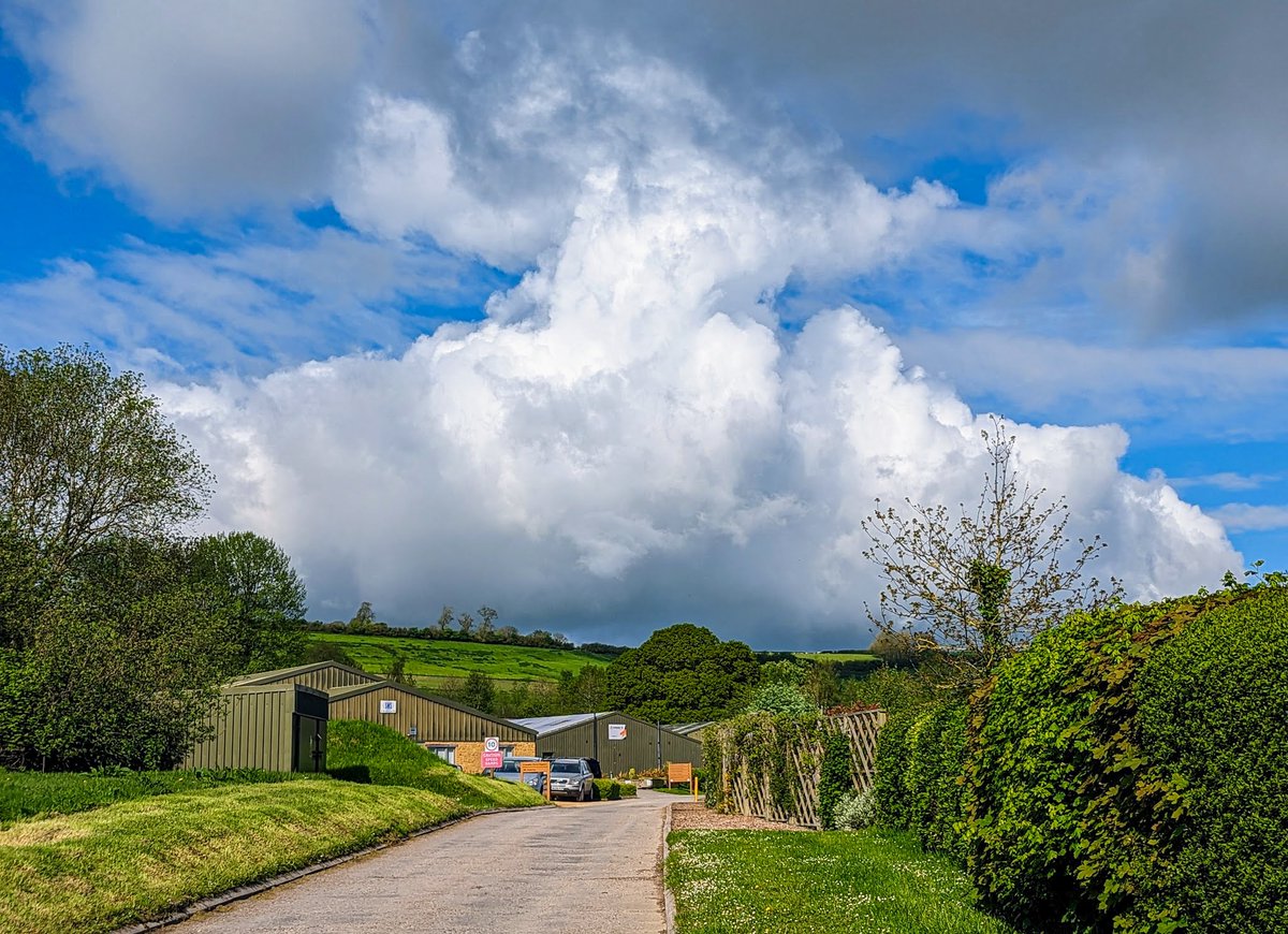 Glynn Adams ♌☀️☃️⚽ tweet media