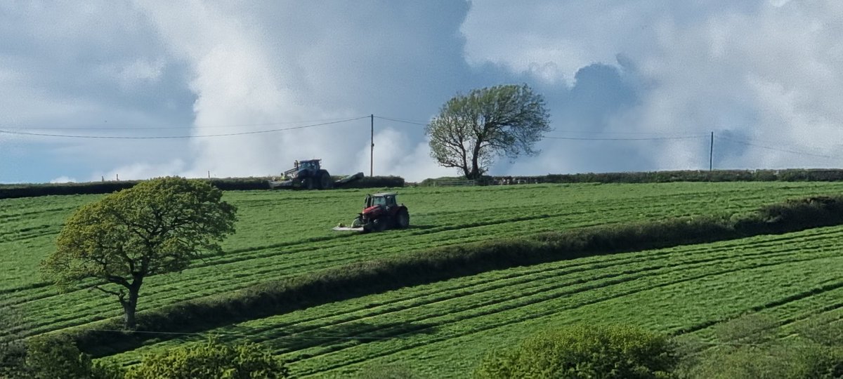 walkermark67's tweet image. View from the caravan today 
@visitwales 
@VisitPembs
 @CaravanHolidayz 
@DogsOnHols