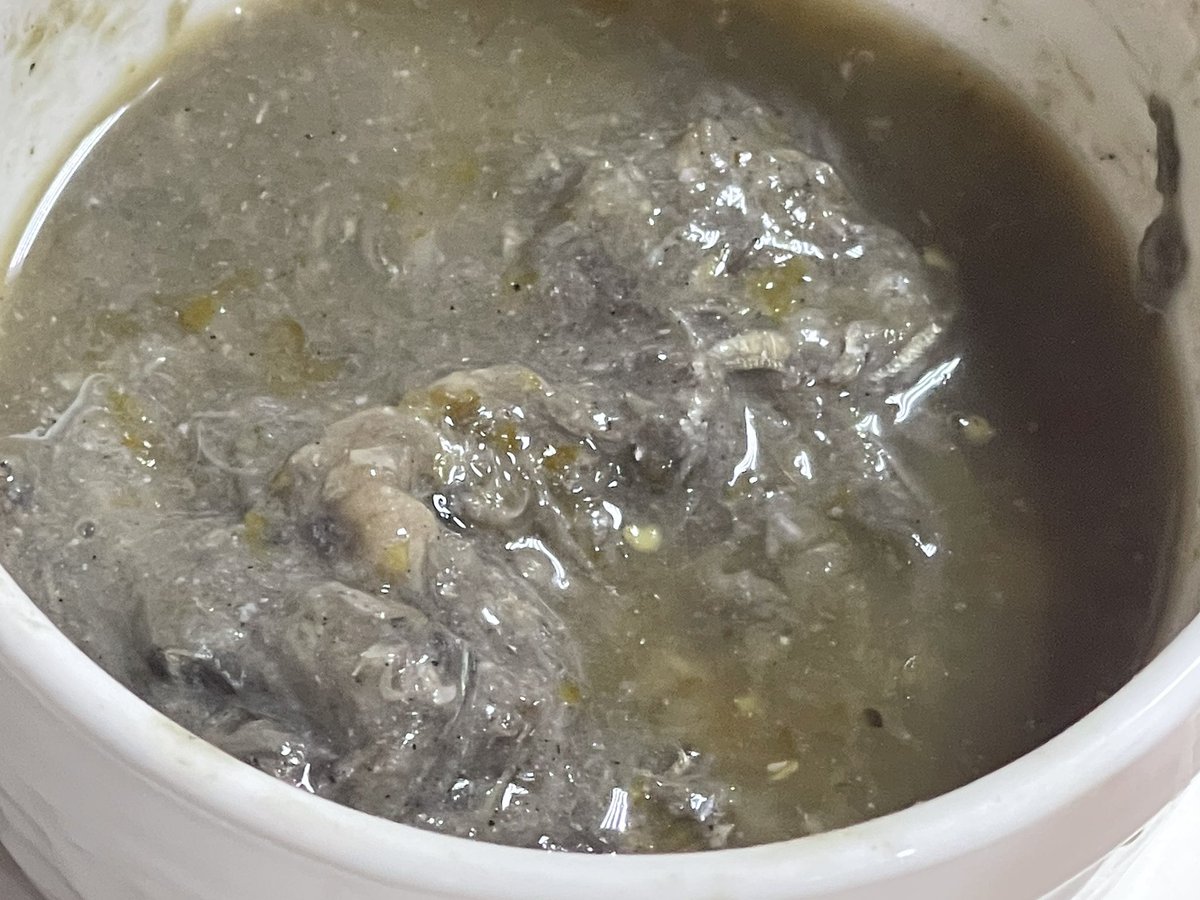 stevendere61's tweet photo. -fresh from the Philippines. Salamat karajaw sa lamian na panihapon. ๐
#financial #emiratestower #sheikzayed #ofw #collegefriends #dubai https://t.co/52CgOegoPz