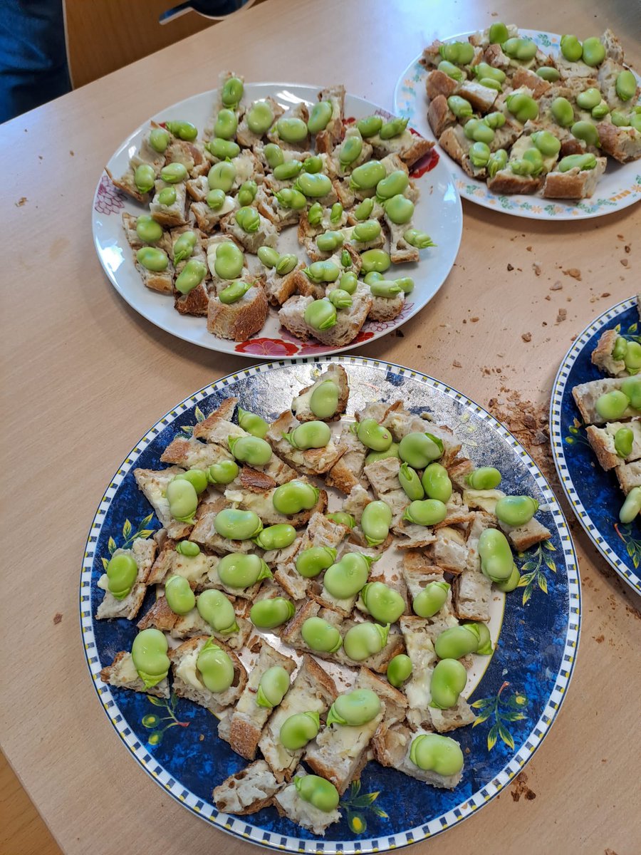 EcolePerat's tweet photo. Journée récolte et dégustation des fèves plantées cet hiver par les élèves de cycle 2 dans le potager de l’école. 
Bravo à tous et merci à nos super AESH pour les tartines !

@IENsaintes17 @DSDEN17 @acpoitiers 
#teamPE #Saintes17 #classedehors 
#permisdevegetaliser #equipedechoc https://t.co/WhUGOsrTVQ