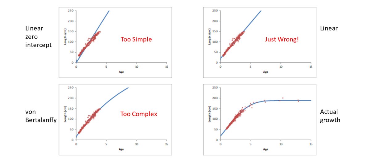 maunderCAPAM's tweet photo. Goldilocks and the three models: an illustration of #extrapolating outside the data (or to derived management quantities) without a mechanistic understanding or informed priors illustrated using the #vonBertalanffy #growth #model #growthmodel #modelselection #Bayesian #Hypothesis https://t.co/Jsz06AIeCV
