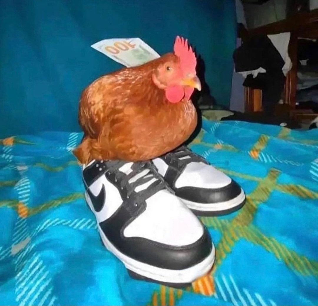 Breaking Point tweet media