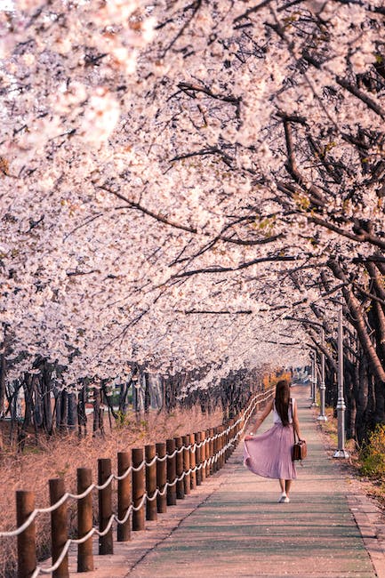simonab604's tweet photo. Spring has sprung! 🌸 Celebrate the warmer weather with a picnic in the sun, go for a bike ride, or take a leisurely stroll and enjoy the sights. #Springtime #BeautyOfMotherNature #OutAndAbout #WarmWeatherFun https://t.co/bZJllBzkEZ