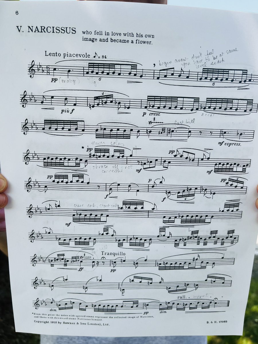 magistrabarbosa's tweet photo. Amazing oboe performance (a piece about Echo &amp; Narcissus) during our last AP Latin class. Thanks to Daniel for sharing his talent with us! 🎶 ☀️ #aplatin https://t.co/w5wv6zhgPo