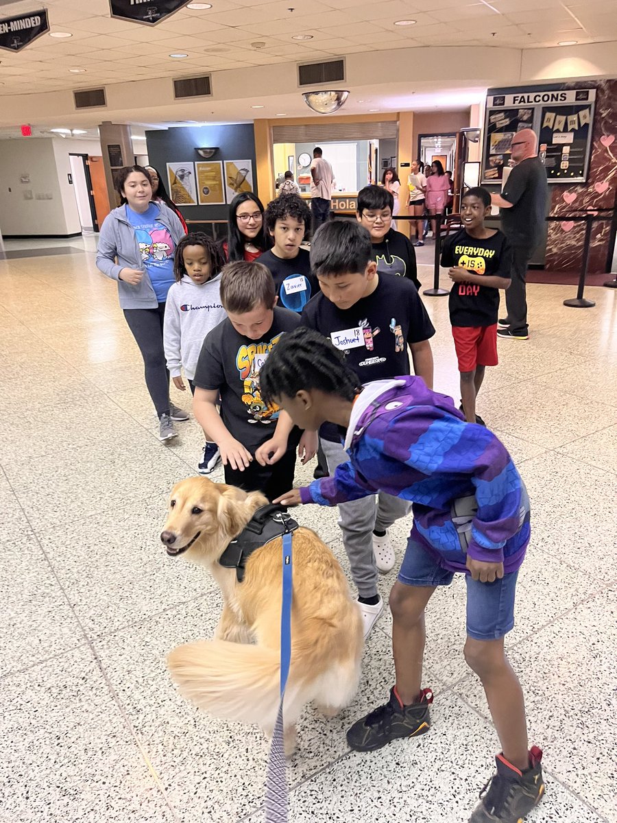 NorthviewMS tweet media