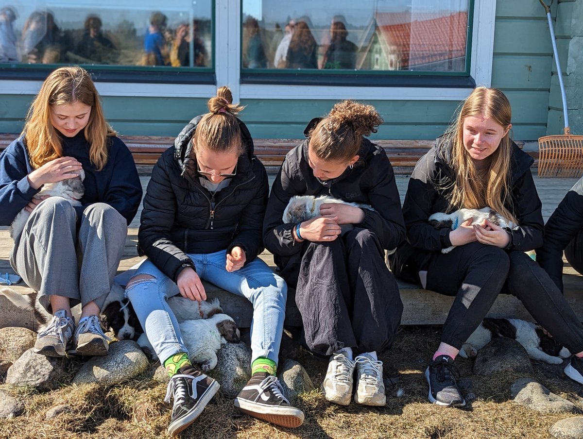 Tutustuttiin ihaniin eläimiin Nurmolandian luonnonläheisessä ympäristössä yhdessä saksalaisten vaihto-opiskelijoiden kanssa #rentoaamu #nurmolandia #internationalschool #greenschoolproject