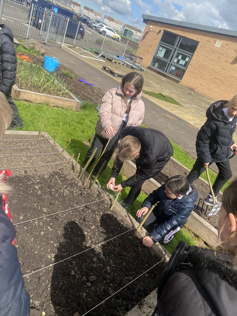 Mrs Farrell (@mrsfarrell21) on Twitter photo P6 helped Mr Kearney plant some turnips today. We struck lucky with the sunshine until the heavens opened on us and we had to take shelter in the outdoor classroom. 😎<a href="/HareleeshillPS/">HareleeshillPS</a> #itsSLC P6 helped Mr Kearney plant some turnips today. We struck lucky with the sunshine until the heavens opened on us and we had to take shelter in the outdoor classroom. 😎<a href="/HareleeshillPS/">HareleeshillPS</a> #itsSLC