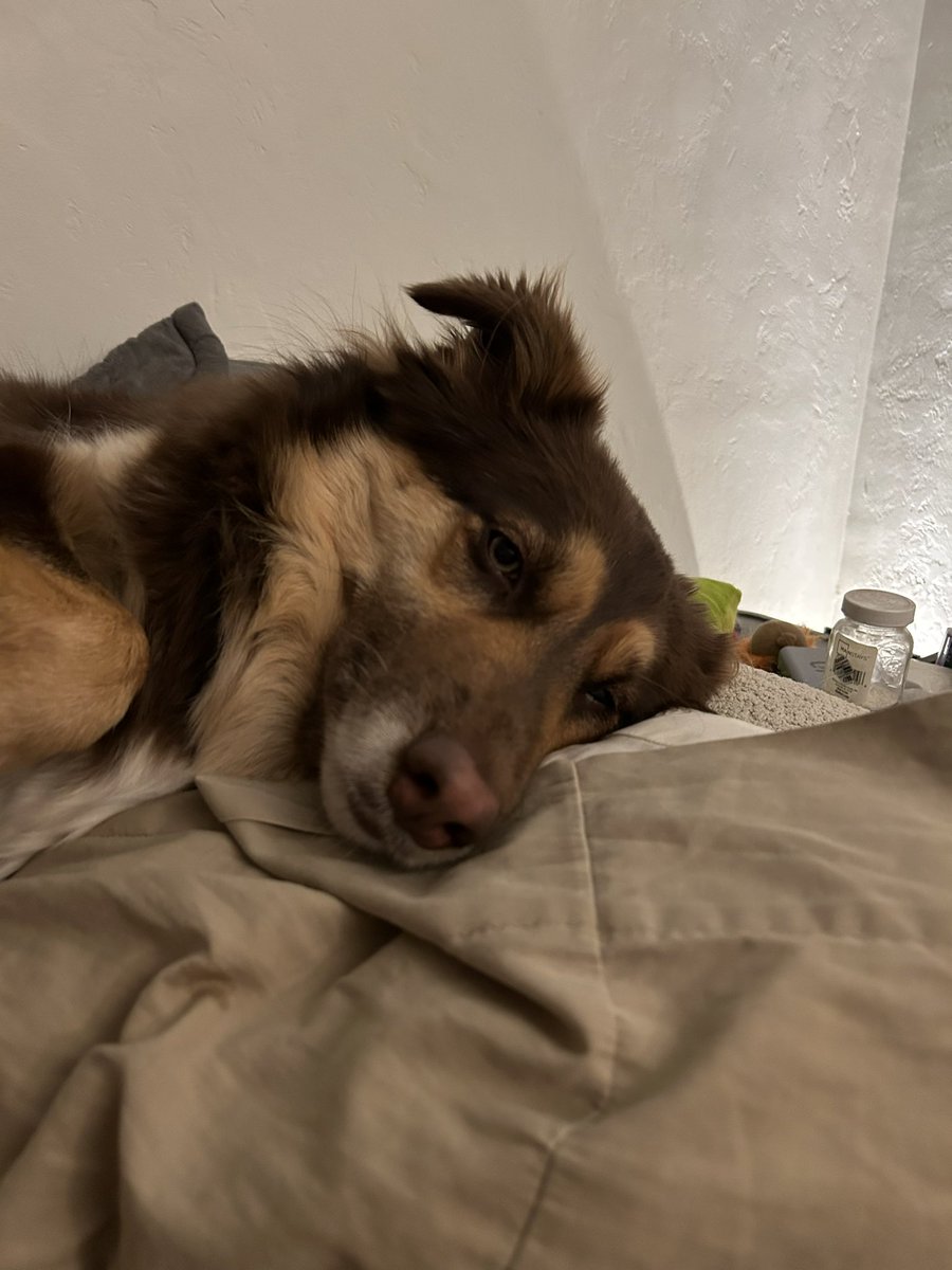 Just one of those days…