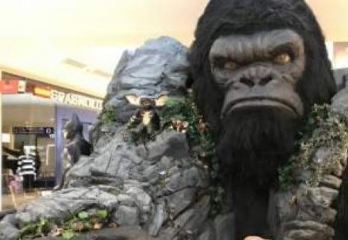 ¡La emoción se desborda en la <a href="/ArroyadaTrail/">Arroyada Trail</a> Este año, los premios son tan grandiosos como la carrera misma. ¡Prepárate para recibir tu premio de manos del mismísimo King Kong! 🦍🥇 ¡Ven a vivir la aventura y descubre quién se llevará el trofeo más épico de todos!