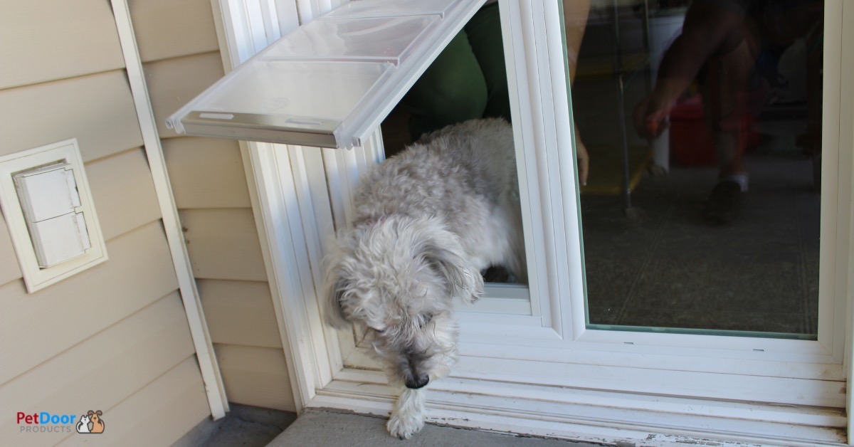 PetDoorProducts's tweet photo. 🌷 Spring is here, and it's time to solve your pet's outdoor access dilemma! 🐾 Check out our latest blog post for the ultimate guide to choosing the best dog door sliding door for your home. 🏡💚 Unlock freedom for your furry friend today! ➡️ https://t.co/ExlLezCVM5  #PetD ... https://t.co/9xDBv4a74g