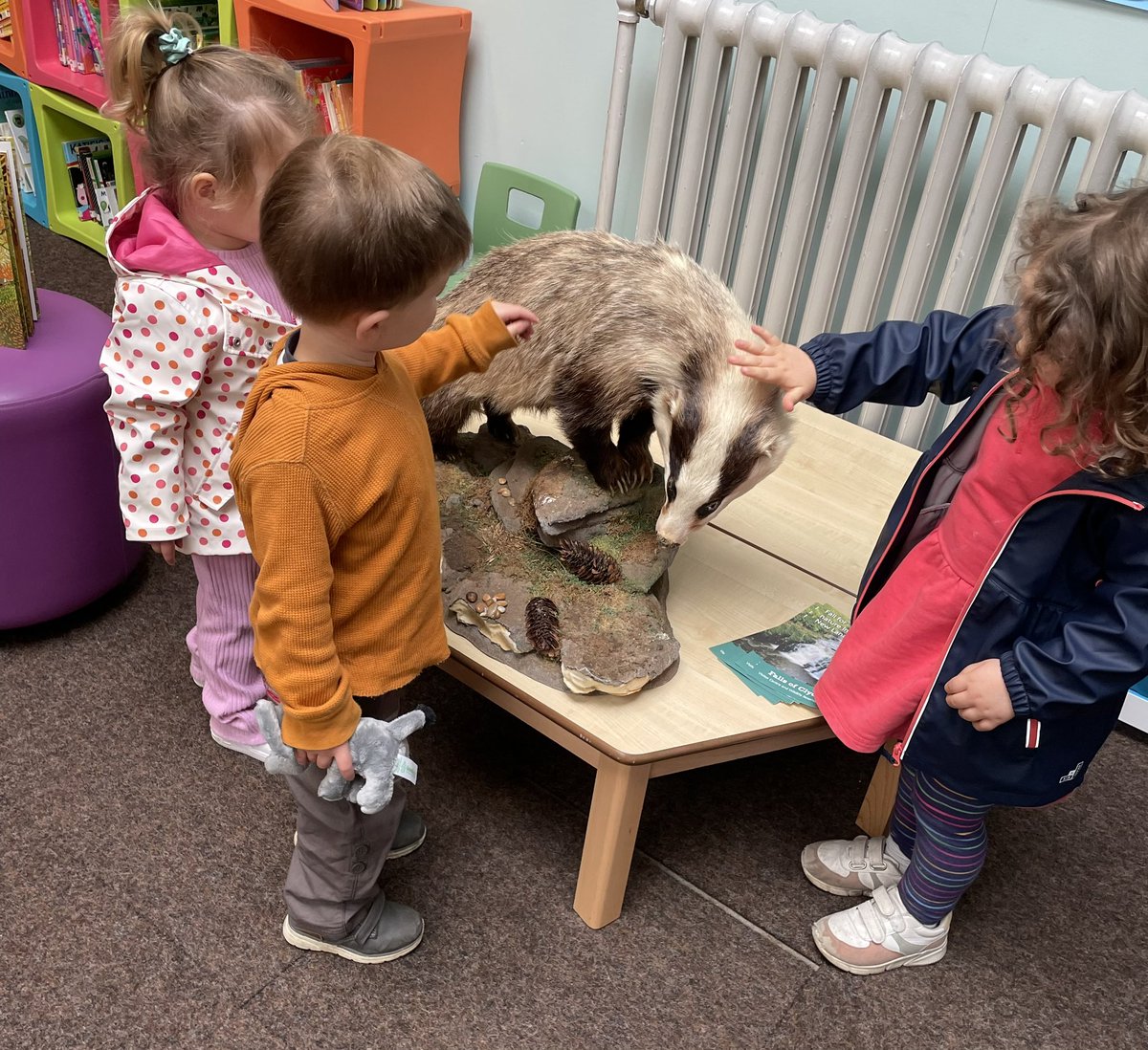 JL_Horan7's tweet photo. Badger storytime today was the best! Looking forward to more joint working with local Wildlife Trust 🦡 #ScottishBadgerWeek https://t.co/NM191luwMV