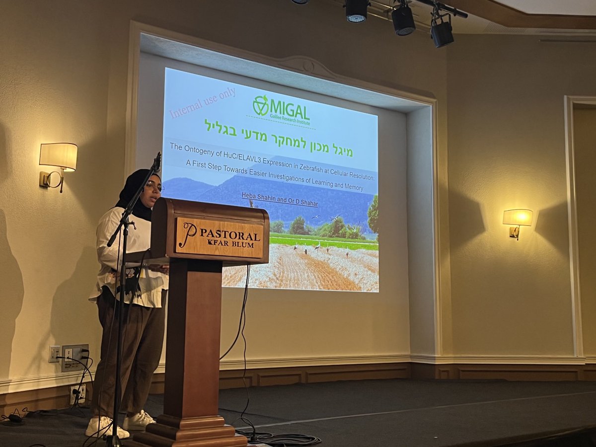 OrDShahar's tweet photo. Very proud of @HebaShahin1112 for giving a great talk today at the #Migal conference https://t.co/3yDfVfKl6I