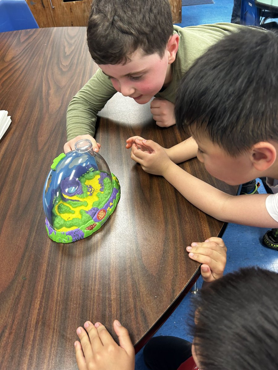 Ladybug land is here! Our larvae is getting ready for the next stage! We are excited to see the pupas! <a href="/SearingtownK5/">Searingtown School</a>