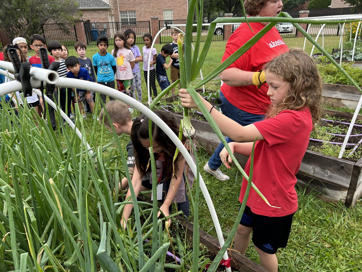 Beth Reeves tweet media