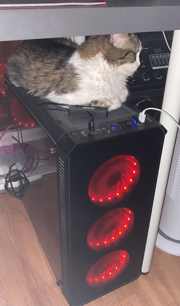 Lo de que los gatos se suban a los PC? Creo que los gatos están haciendo una revolución 😱

-expongan a sus gatos 👀